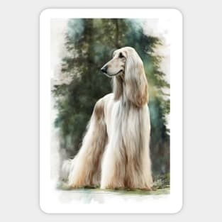Afghan Hound in the Forest Sticker